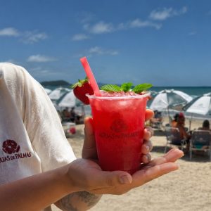 Praia_Aguas_De_PAlmas_REsort